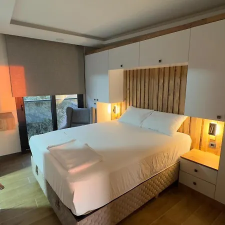 Apartment Gueler *